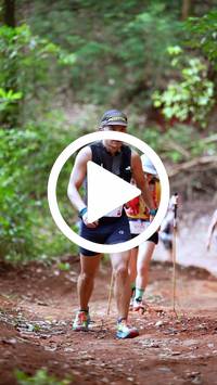 BIB:  <button type="button" onclick="openModal(27381103)" class="btn btn-primary btn-sm float-right" data-toggle="modal" data-target=".modal-high-quality">
                <i class="fa fa-download"></i> Download
                </button>